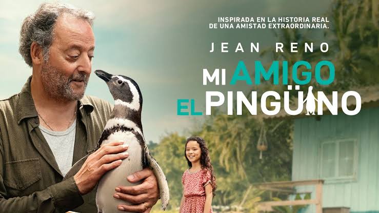 La historia de “Mi amigo el pingüino” es tan conmovedora que te llena de amor y esperanza hasta las lágrimas.