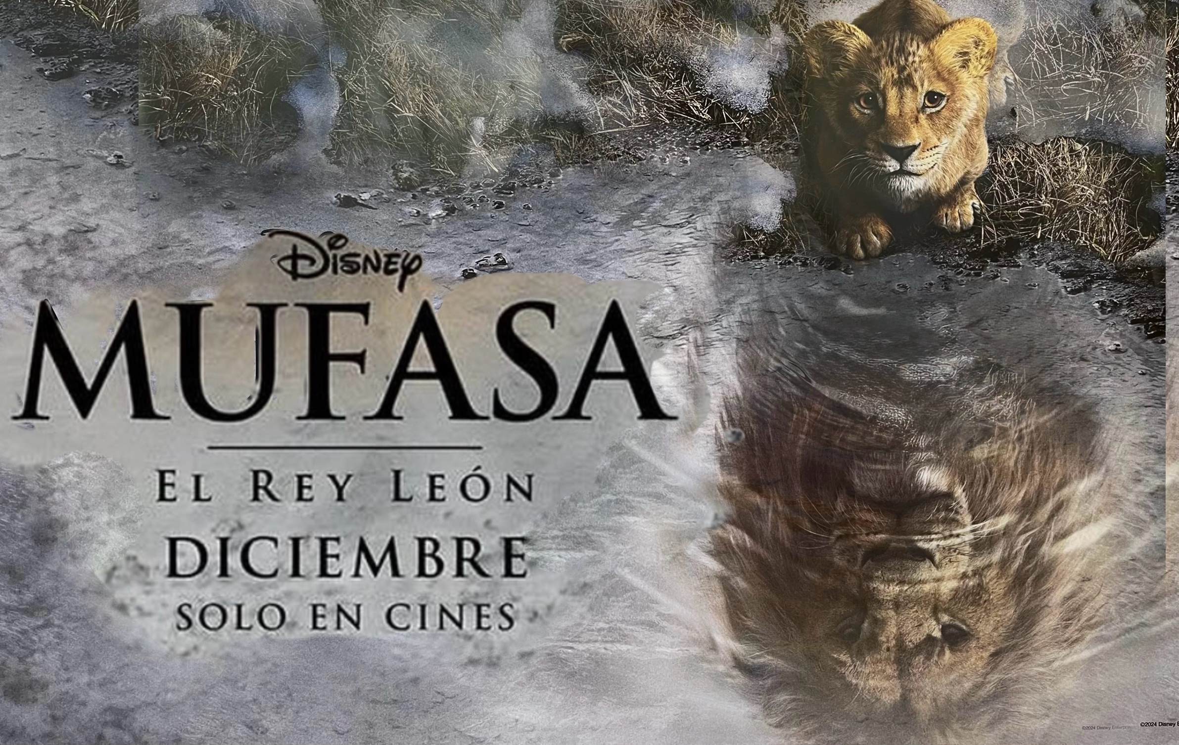 “Mufasa, El Rey León” es verdaderamente una joya real. La cinta está destinada a convertirse en un clásico instantáneo por su belleza y emotiva profundidad. El mejor regalo navideño por parte de Disney al mundo.
