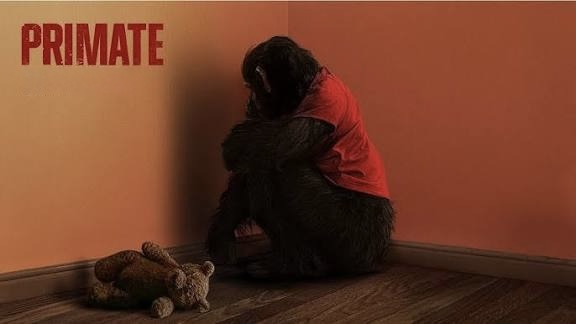“PRIMATE” es en todos sentidos una película de terror de primera, llena de suspenso, sorpresas, sangre pero más que nada aterradoramente entretenida.